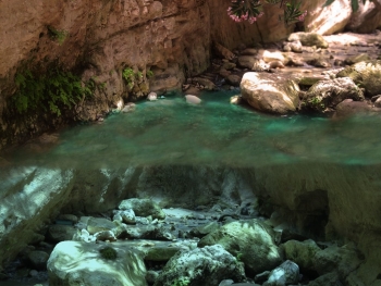 Panmorphia Screenshot